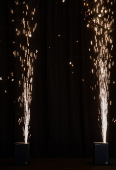 #12 – Sparktacular Duo (Standard Hours) - Image 4